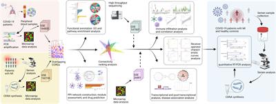 Exploration of the common genetic landscape of COVID-19 and male infertility